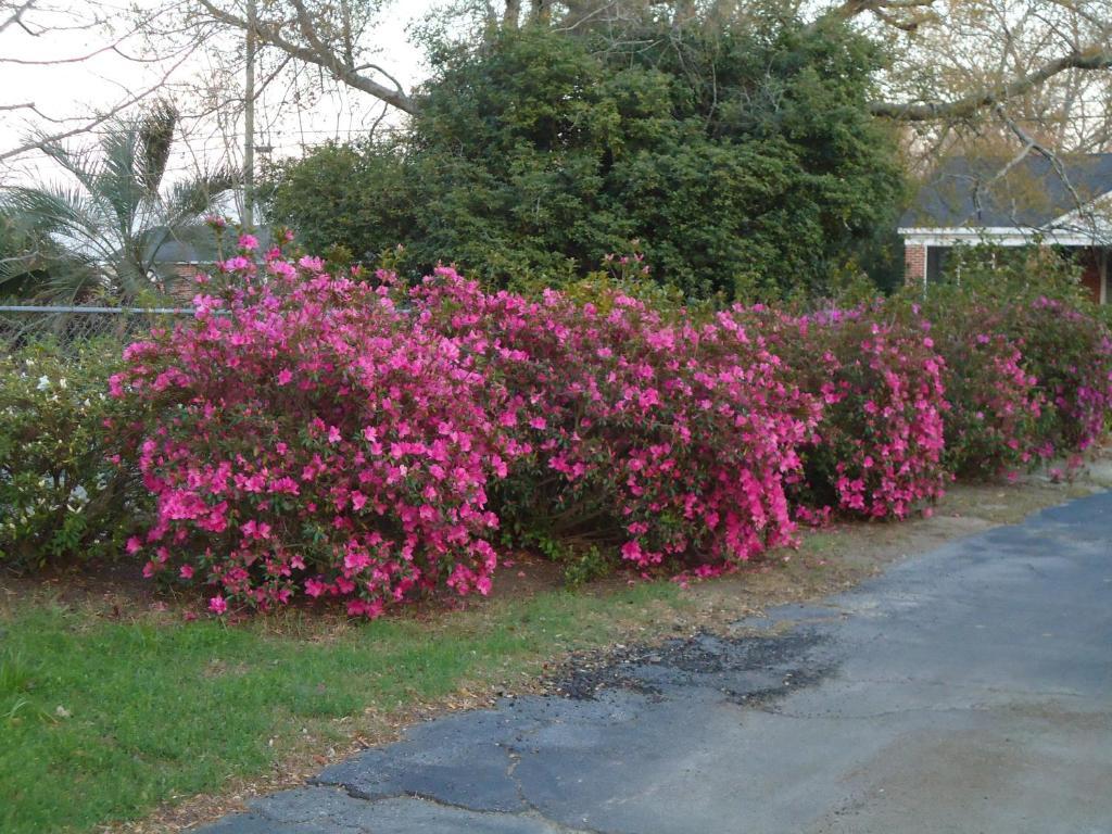 伊登费尔德住宿加早餐旅馆 Swainsboro 外观 照片